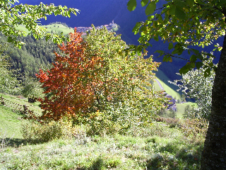 Schnalstal Valley, Karthaus