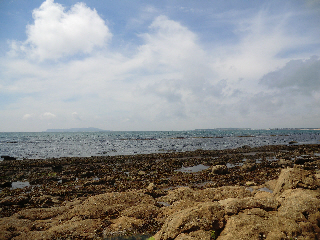 Isle of Portland from Black Head, Dorset