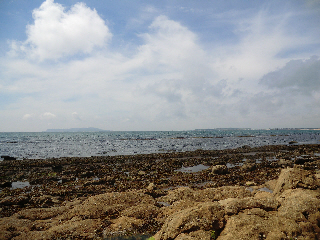 Isle of Portland from Black Head, Dorset