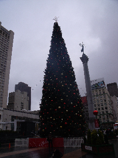 Giant Christmas tree, Union Square, SF