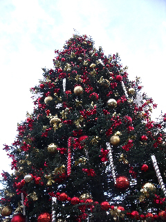 Giant Christmas tree, Fisherman's Wharf, SF