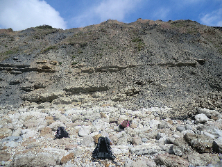 Lower Kimeridgean outcrop,Black Head, Dorset