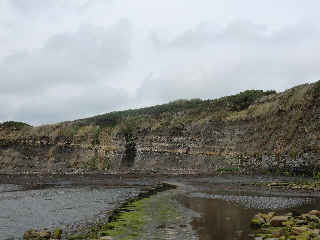Kimmeridge Clay Formation, Dorset