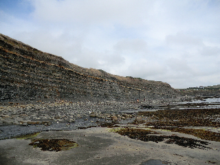 Kimmeridge Clay Formation, Kimmeridge Bay, Dorset
